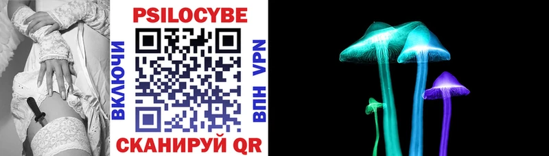 купить наркотики цена  omg как войти  Галлюциногенные грибы прущие грибы  Поворино 